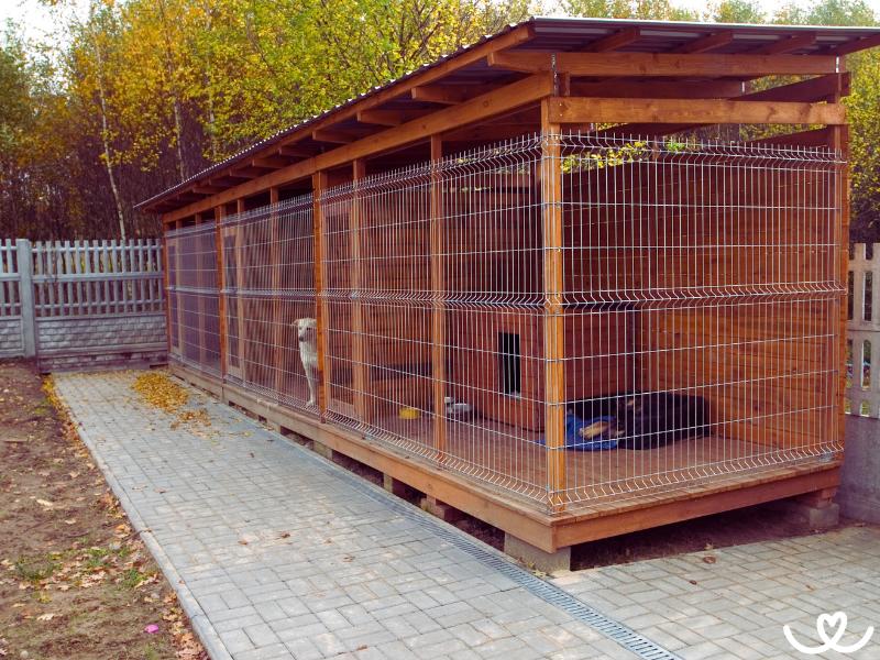 Jak-chovat-psa-venku (4)